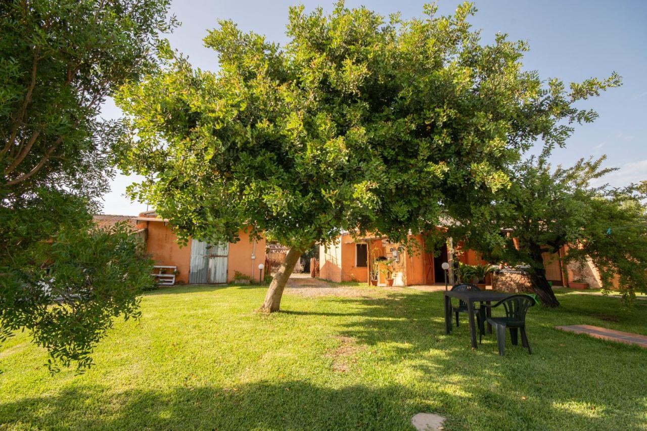 Is Cuccus Bed & Breakfast Masainas ภายนอก รูปภาพ
