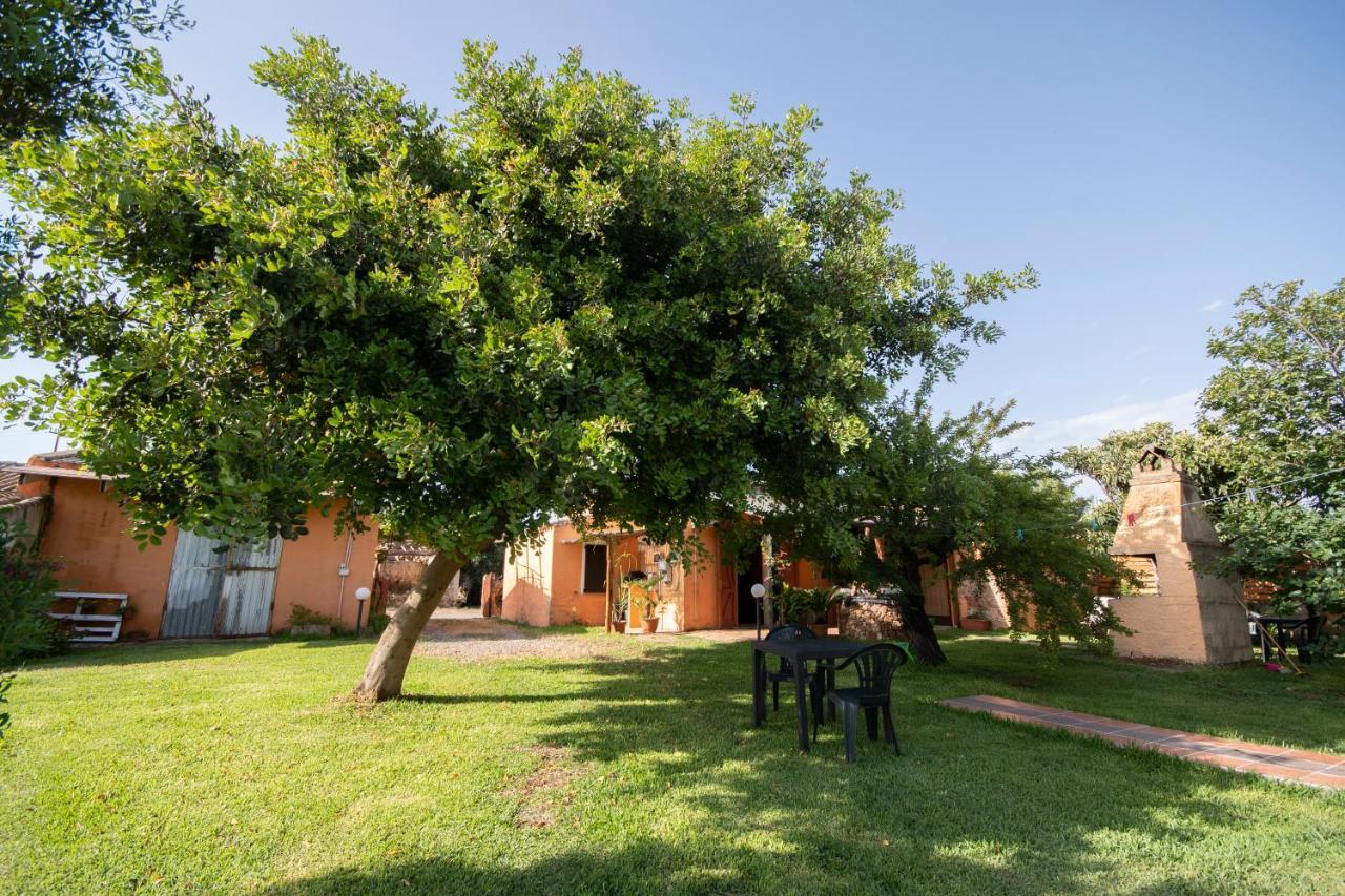 Is Cuccus Bed & Breakfast Masainas ภายนอก รูปภาพ
